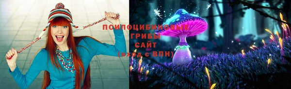 мдпв Гусиноозёрск